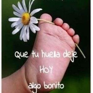 Meet your Posher, Feya